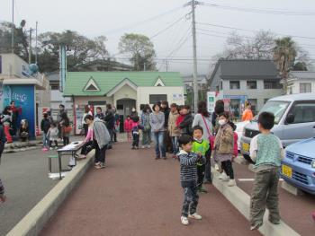 イルカ開き イルカ開き