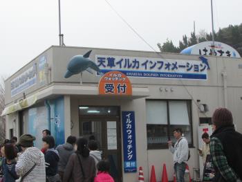 イルカ開き イルカ開き