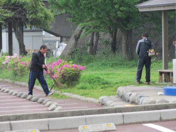 草はらい 草はらい