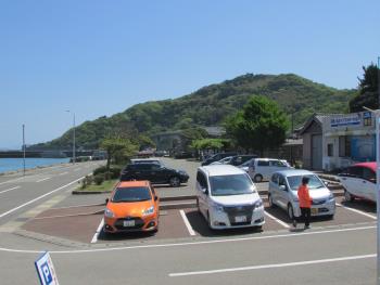 イルカウォッチング イルカウォッチング