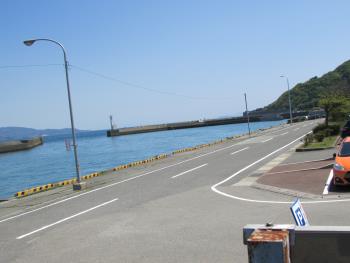 イルカウォッチング イルカウォッチング