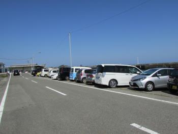 イルカウォッチング イルカウォッチング