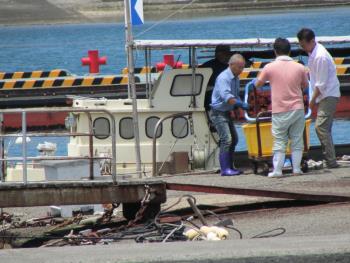 トサカ漁 トサカ漁