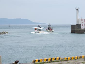 イルカウォッチング イルカウォッチング