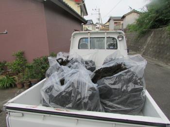 ヒジキかけ ヒジキかけ