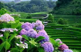 イラスト イラスト