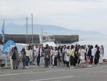 イルカウォッチング イルカウォッチング