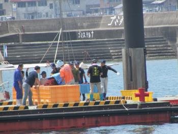 トサカ漁 トサカ漁