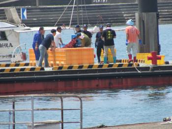 トサカ漁 トサカ漁