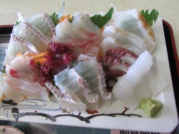 刺身定食 刺身定食